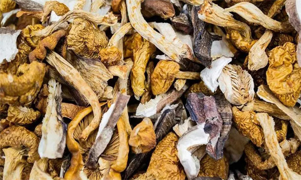 干菇类要重颜色与形状