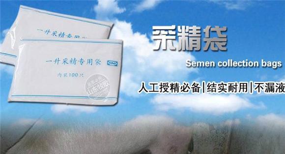 猪人工授精采精的其他设备