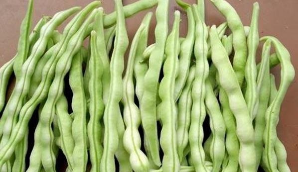 豆角的营养价值及功效