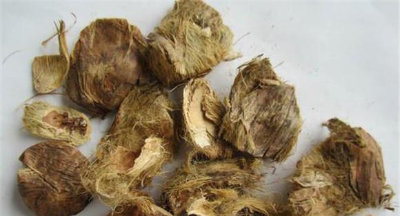 大腹皮的相关论述