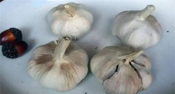 棉花蒜现象的产生