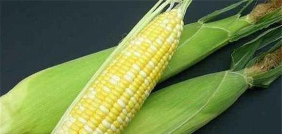 水果玉米和普通玉米有什么区别