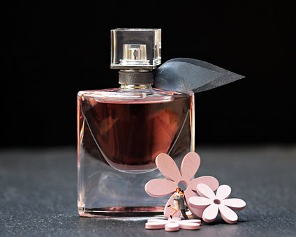 荷花常见病虫害及其防治