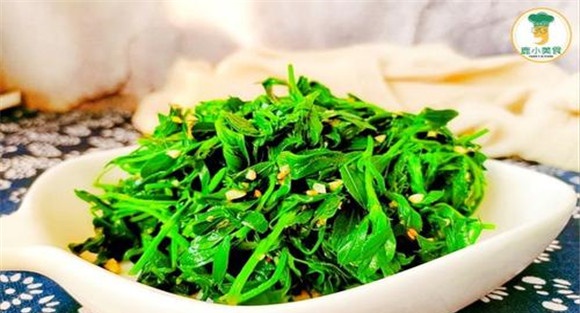 苜蓿的食用方法