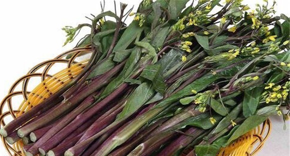 红菜苔的营养价值 红菜苔的功效与作用