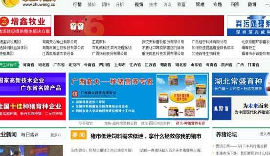 猪养殖技术