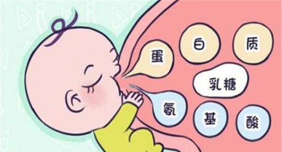 母乳所含营养成分