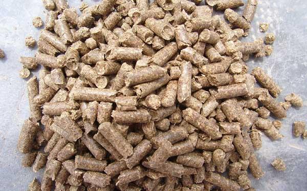 常见的一些不宜生喂的饲料原料