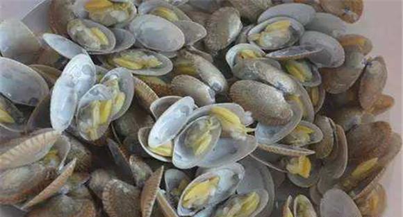 花蛤的清洗方法