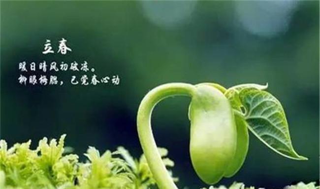 立春的气候差异