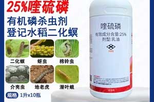 使用喹硫磷注意事项