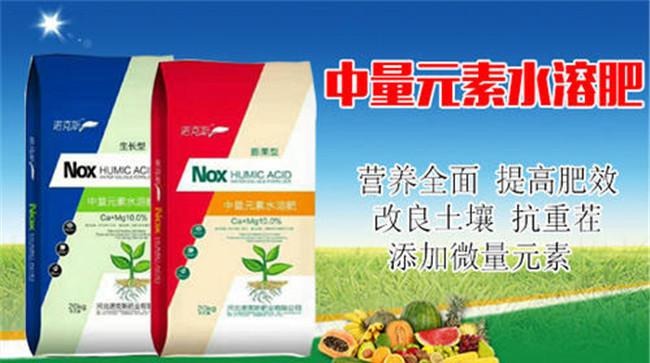 微量元素肥料有哪些