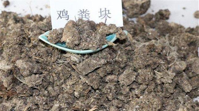鸡粪有机肥如何使用
