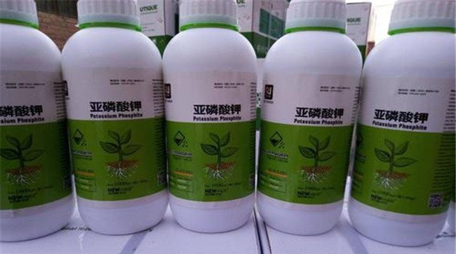 亚磷酸钾使用方法