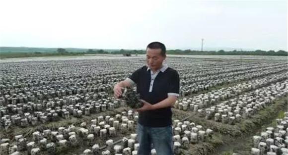 食用菌种植管理方法：怎样给食用菌添加营养液