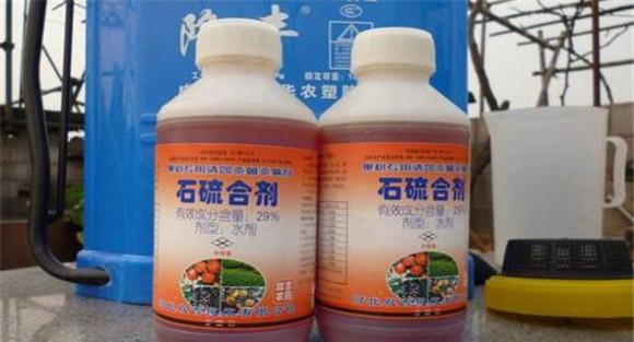 石硫合剂的作用与用量