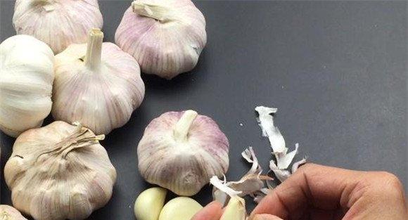 种植大蒜种子处理的问题