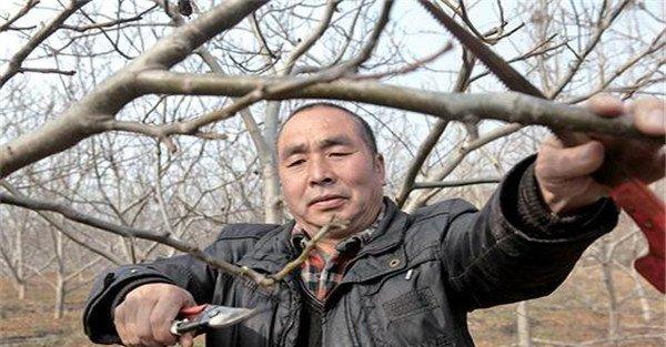 主干更新