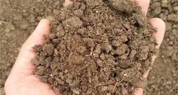 怎样制作双孢菇覆土材料