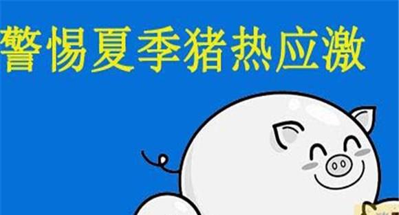 猪热应激怎么办