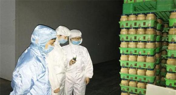 猴头菇装袋灭菌技术要点及其注意事项