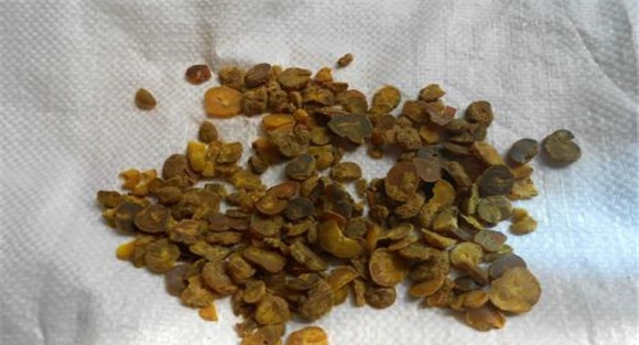 延胡索的临床应用与组方