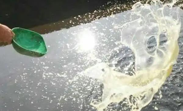 敌百杀虫剂鱼塘用量