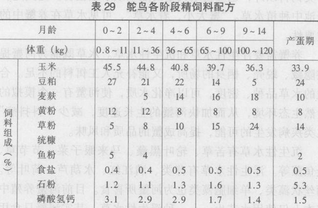 鸵鸟饲养管理技术