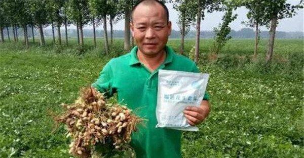 钼肥的作用及功能
