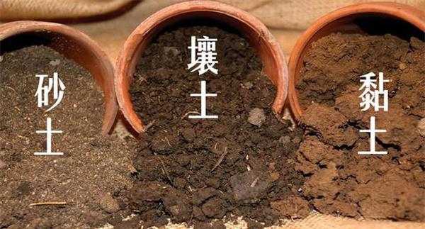 土壤质地分类