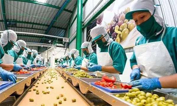 果品加工过程中的主要设备有哪些