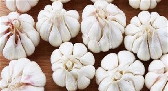 大蒜裂头散瓣是什么原因造成的
