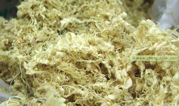 竹茹