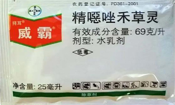 精恶唑禾草灵防除哪些杂草