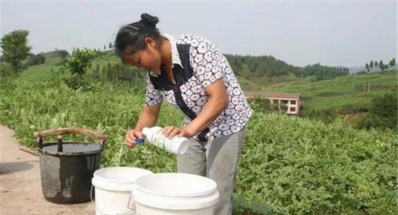 肥料与农药混用的注意事项