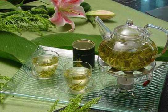 茶叶种植方法