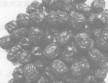 大枣的功效与作用