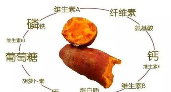 红薯的营养特点