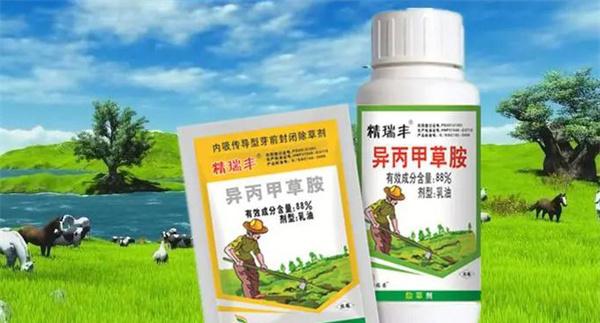 异丙甲草胺除草剂