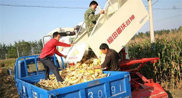 选购和使用玉米收获机应注意的问题