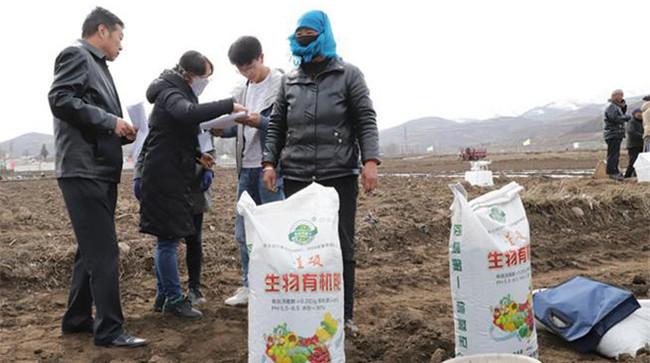 种豆角用什么做底肥