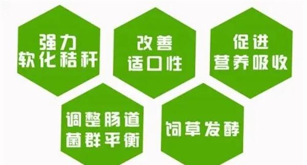目前新上市的安全新型绿色饲料添加剂有哪些