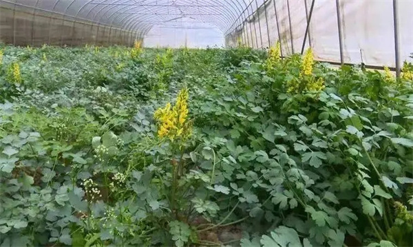 水分