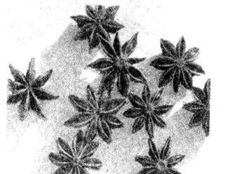 大茴香的功效与作用