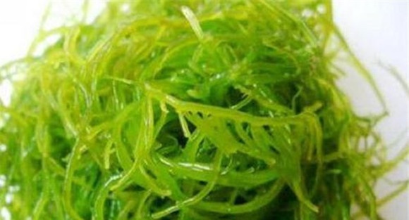 海藻的功效与作用