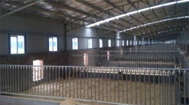 发酵床养鸡垫料不热是不是没有正常发酵
