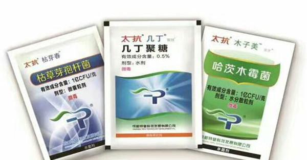 葡萄扇叶病用什么药治疗