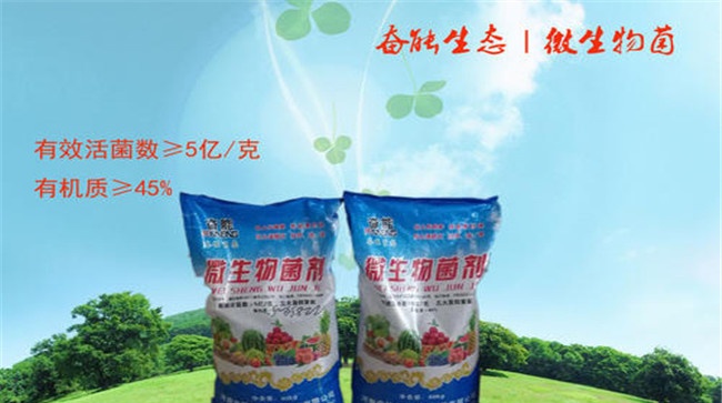 微生物菌剂与菌肥的区别