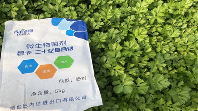 微生物菌剂使用方法