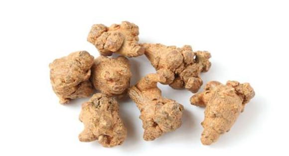 三七的临床应用